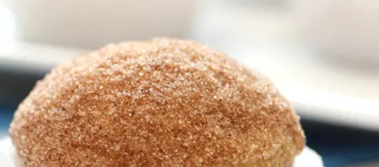 Cinnamon Puff Muffins